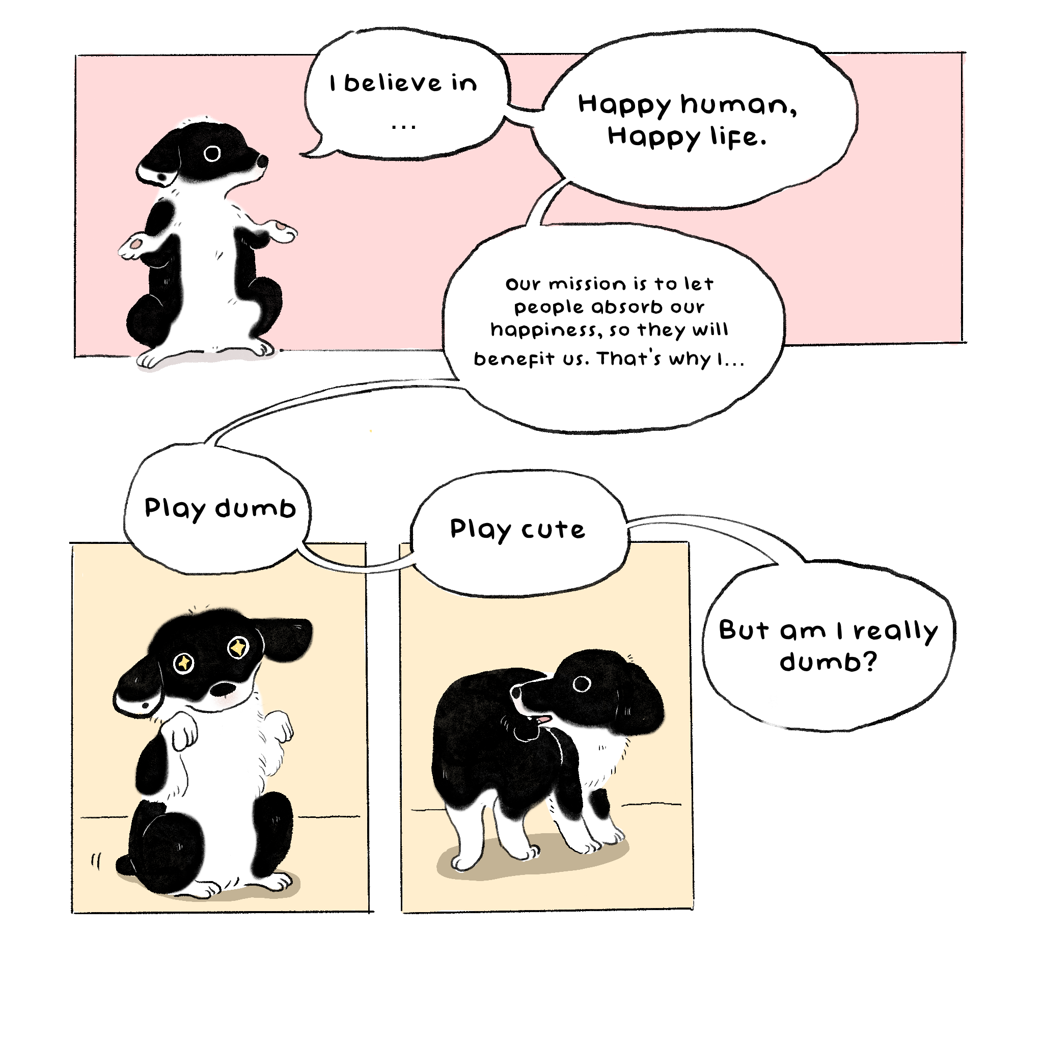 About Bixin — panel 3